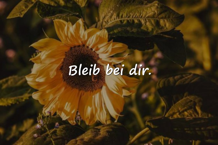 Bilder mit kurze sprüche - 16