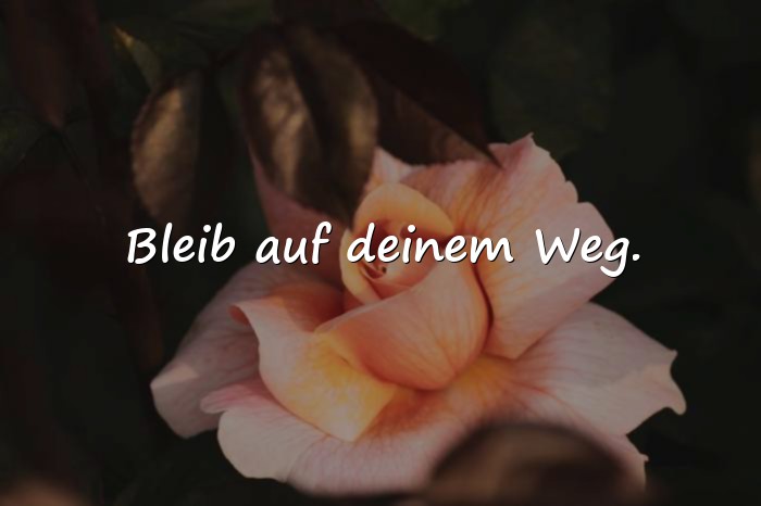 Bilder mit kurze sprüche - 15