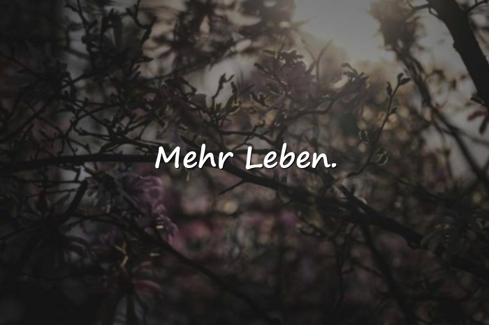 Bilder mit kurze sprüche - 12