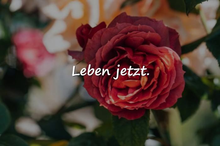 Bilder mit kurze sprüche - 1