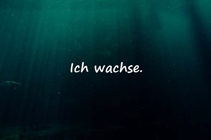 Bilder mit kurze sprüche - 23