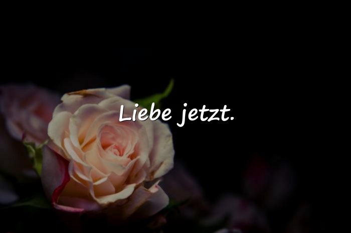 Bilder mit kurze sprüche - 11