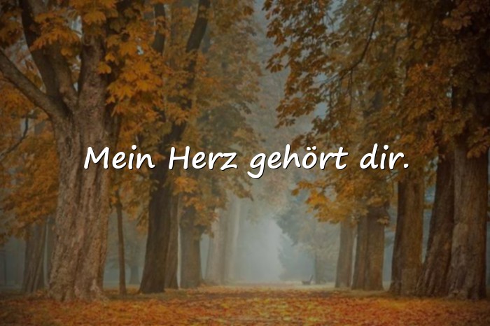 Bilder mit kurze sprüche liebe - 3