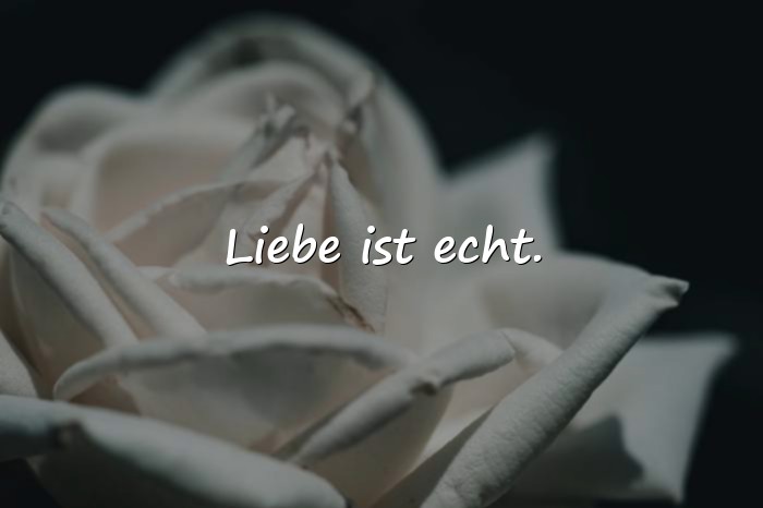 Bilder mit kurze sprüche liebe - 19