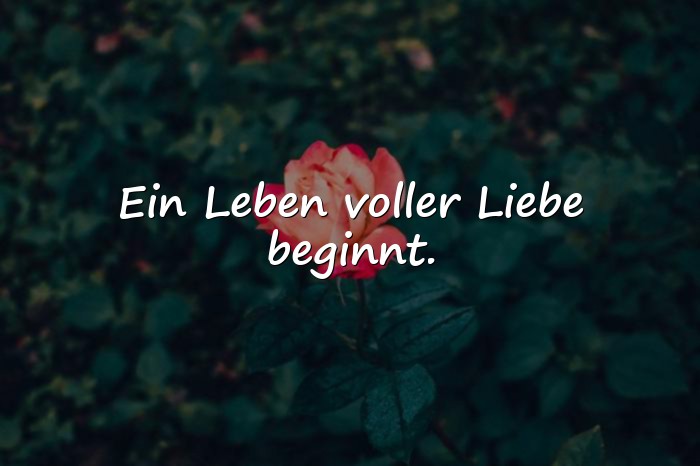 Bilder mit kurze sprüche zur hochzeit - 6
