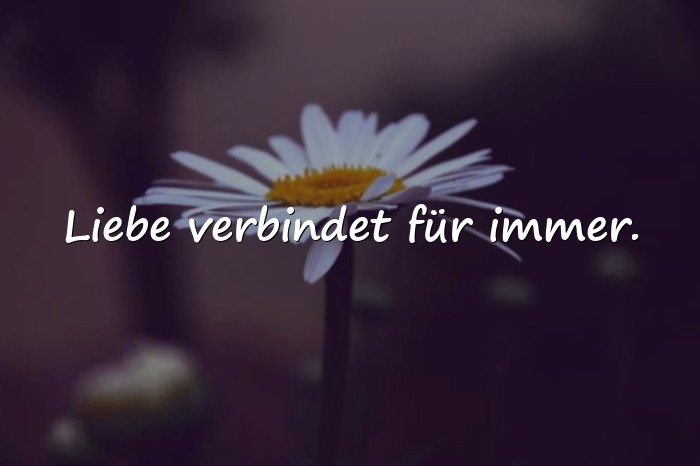 Bilder mit kurze sprüche zur hochzeit - 1