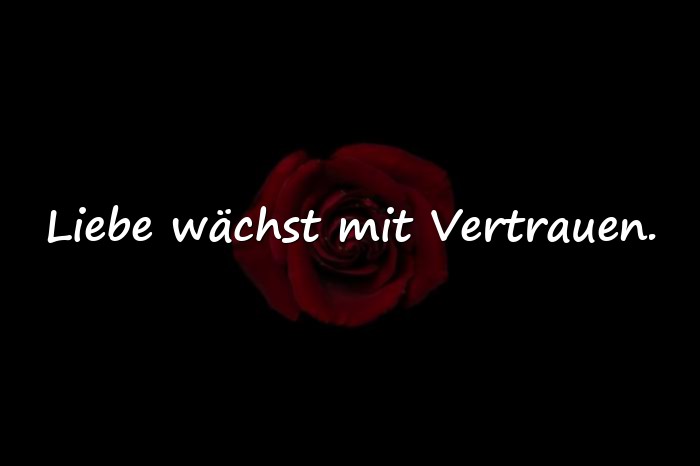 Bilder mit kurze sprüche zur hochzeit - 16