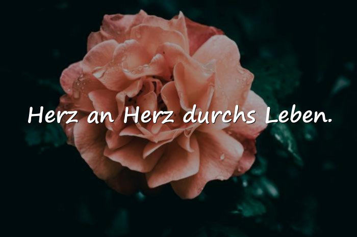 Bilder mit kurze sprüche zur hochzeit - 11