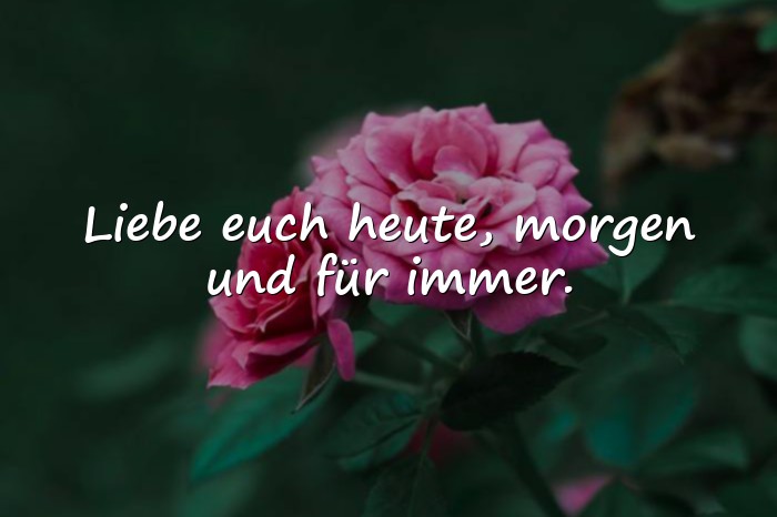Bilder mit kurze sprüche zur hochzeit - 1