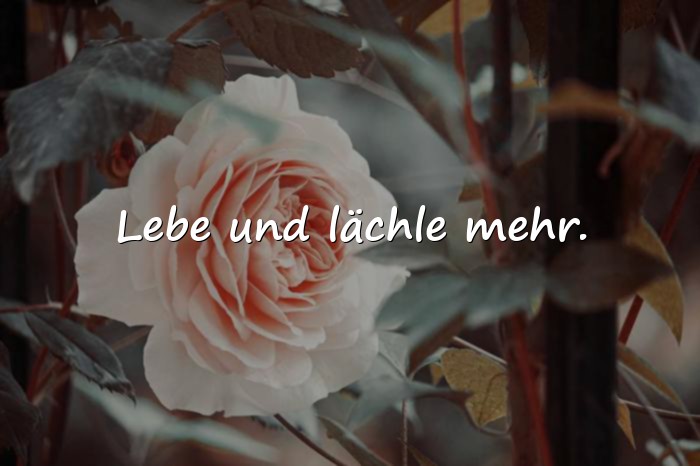 Bilder mit lebensfreude sprüche - 9