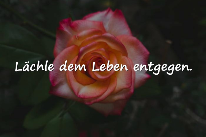 Bilder mit lebensfreude sprüche - 4