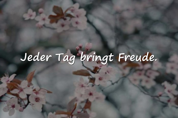 Bilder mit lebensfreude sprüche - 18