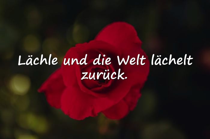 Bilder mit lebensfreude sprüche - 6
