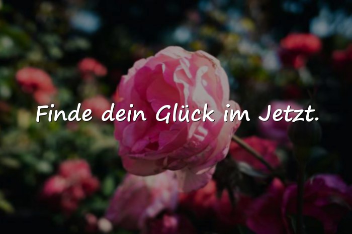 Bilder mit lebensfreude sprüche - 4