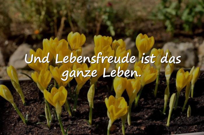 Bilder mit lebensfreude sprüche - 1