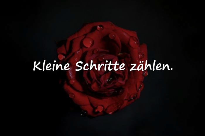 Bilder mit lebensmotto - 9