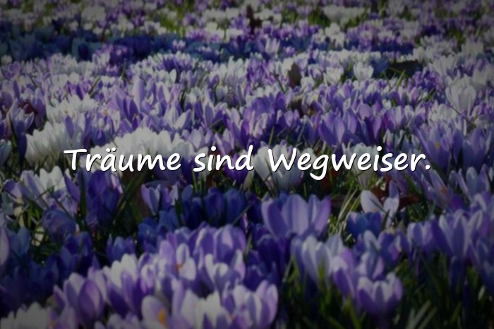 Bilder mit lebensmotto - 4