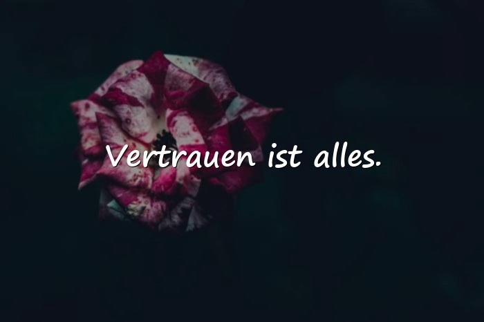 Bilder mit lebensmotto - 13