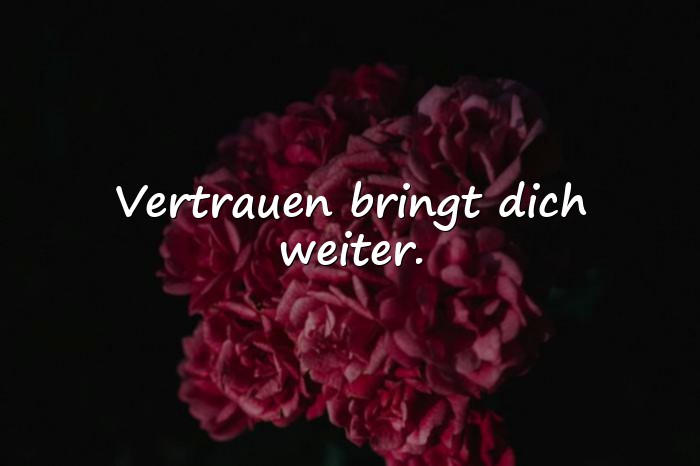 Bilder mit lebensmotto - 4