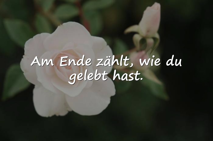 Bilder mit lebensmotto - 17