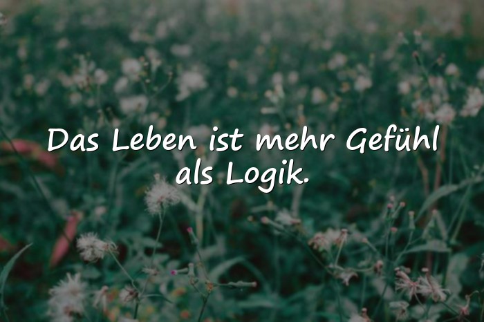 Bilder mit lebenssprüche zum nachdenken - 7