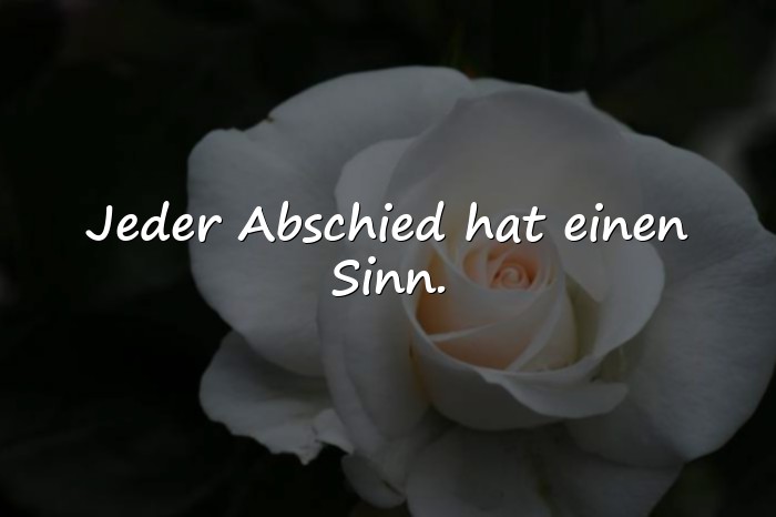 Bilder mit lebenssprüche zum nachdenken - 23