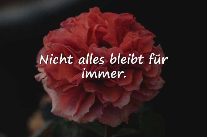 Bilder mit lebenssprüche zum nachdenken - 19