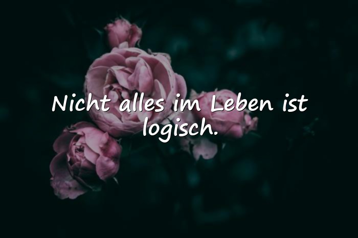Bilder mit lebenssprüche zum nachdenken - 5
