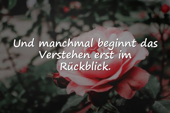 Bilder mit lebenssprüche zum nachdenken - 1