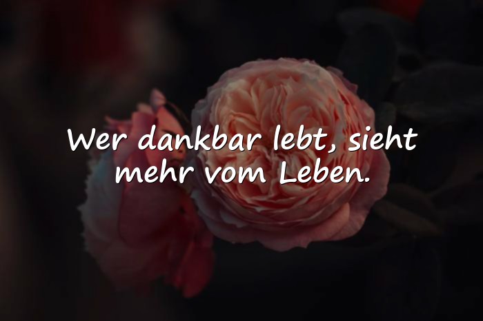Bilder mit lebensweisheiten - 22