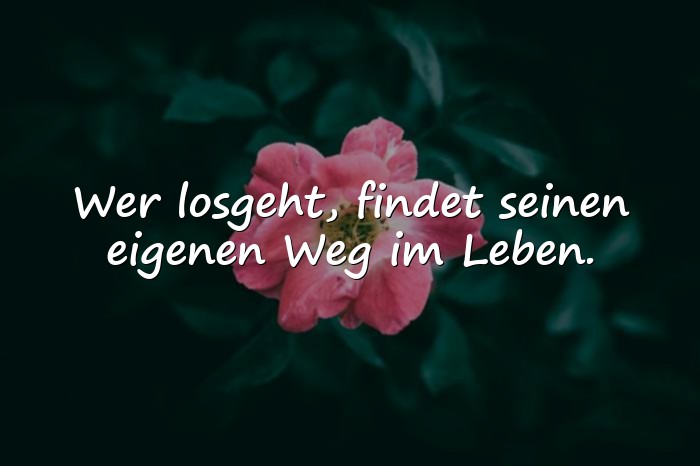 Bilder mit lebensweisheiten - 14