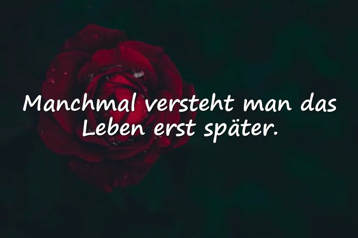 Bilder mit lebensweisheiten - 13