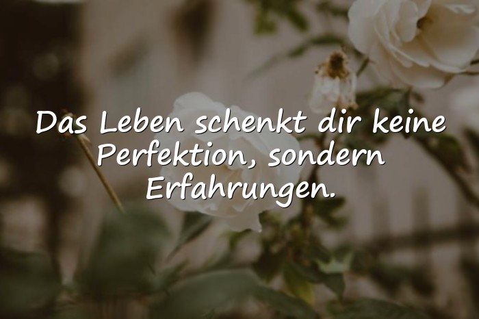 Bilder mit lebensweisheiten - 5