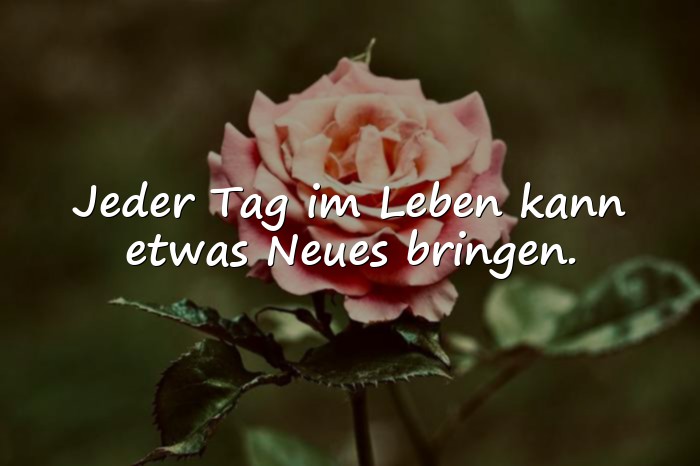 Bilder mit lebensweisheiten - 3