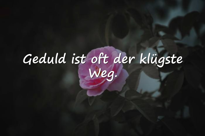 Bilder mit lebensweisheiten sprüche - 6
