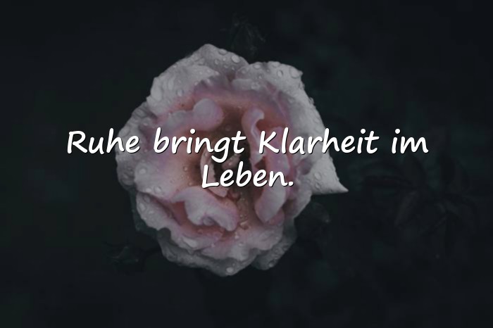 Bilder mit lebensweisheiten sprüche - 3