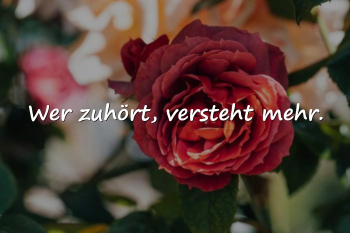 Bilder mit lebensweisheiten sprüche - 24
