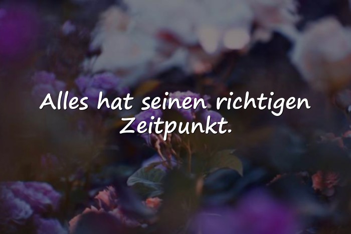 Bilder mit lebensweisheiten sprüche - 21