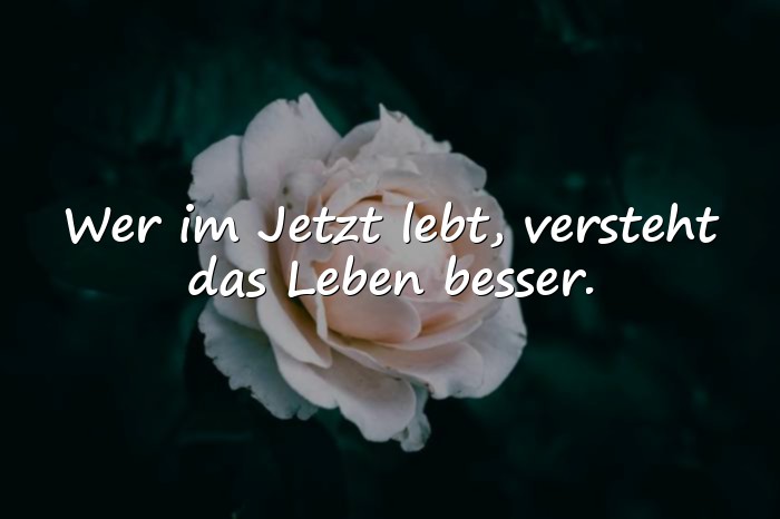 Bilder mit lebensweisheiten sprüche - 15