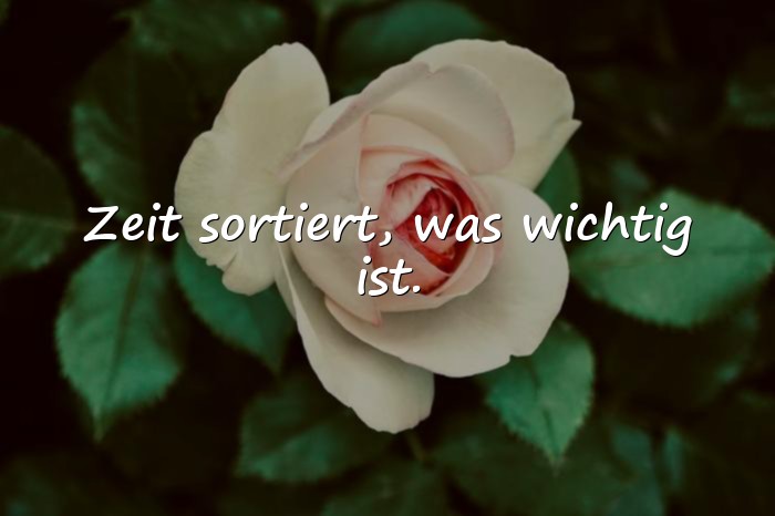 Bilder mit lebensweisheiten sprüche - 9