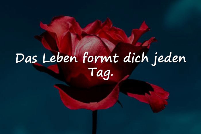Bilder mit lebensweisheiten sprüche - 5