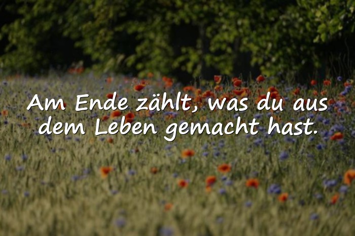 Bilder mit lebensweisheiten sprüche - 1
