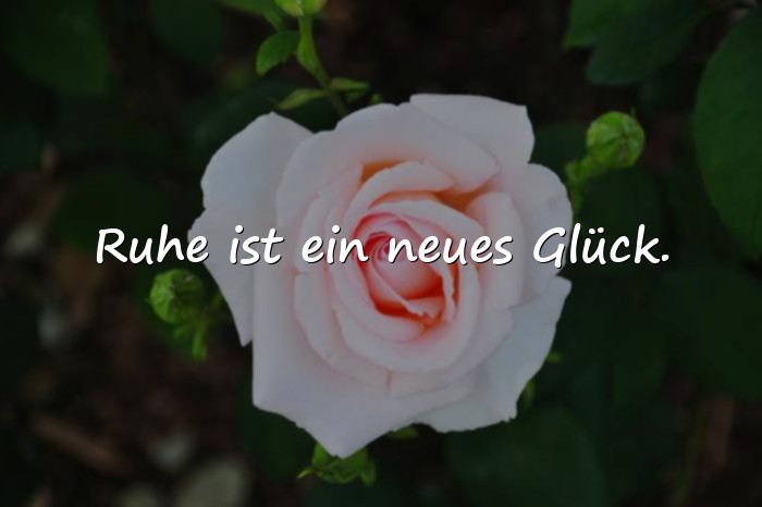 Bilder mit lebensweisheiten zum 65 geburtstag - 13