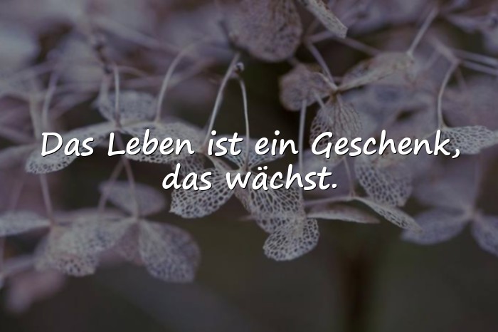Bilder mit lebensweisheiten zum 65 geburtstag - 20
