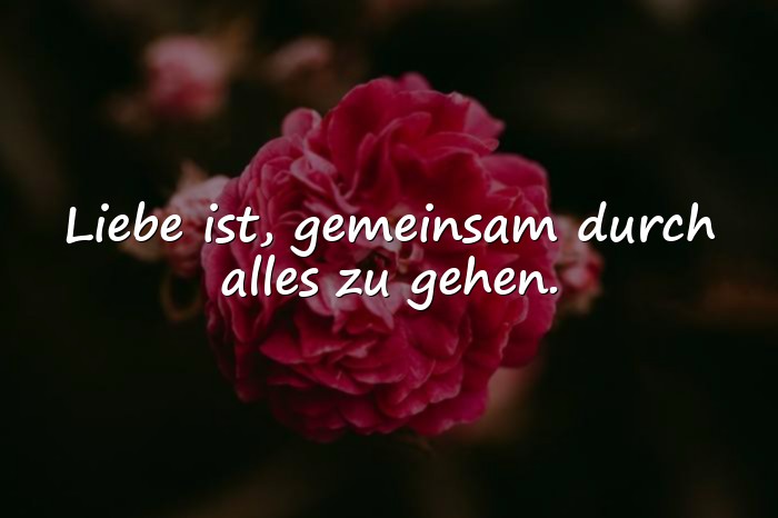 Bilder mit liebe ist sprüche - 12