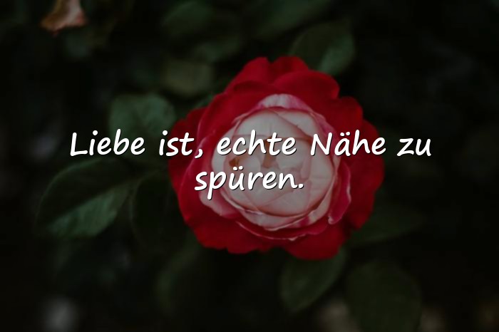 Bilder mit liebe ist sprüche - 25