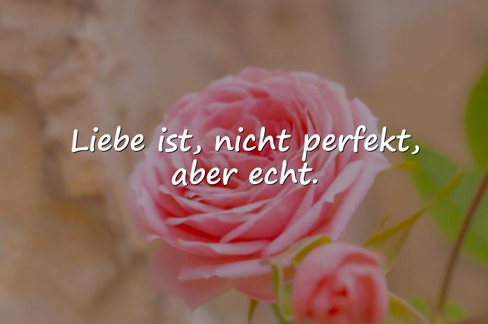 Bilder mit liebe ist sprüche - 16
