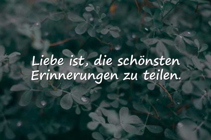 Bilder mit liebe ist sprüche - 11