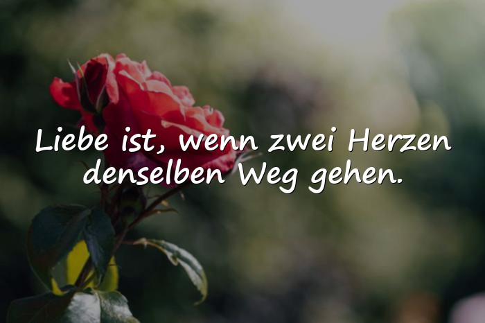 Bilder mit liebe ist sprüche - 6
