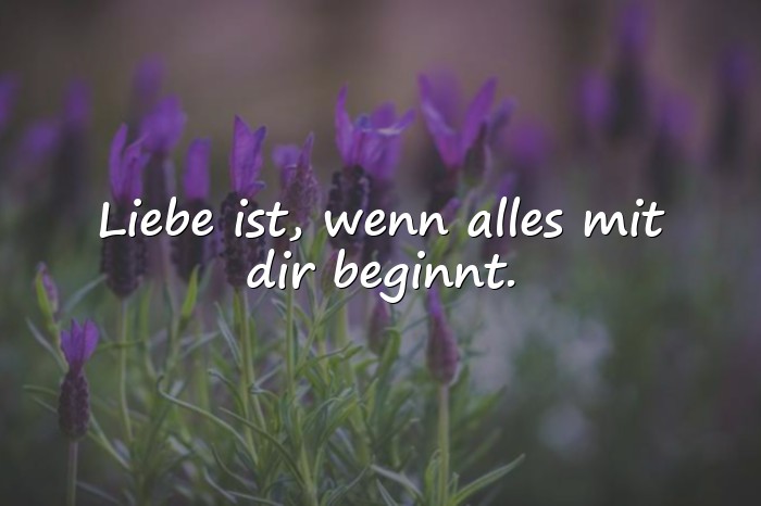 Bilder mit liebe ist sprüche - 1